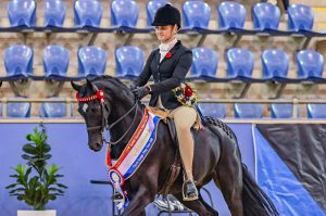 Sashes and rosettes for all equestrian events.