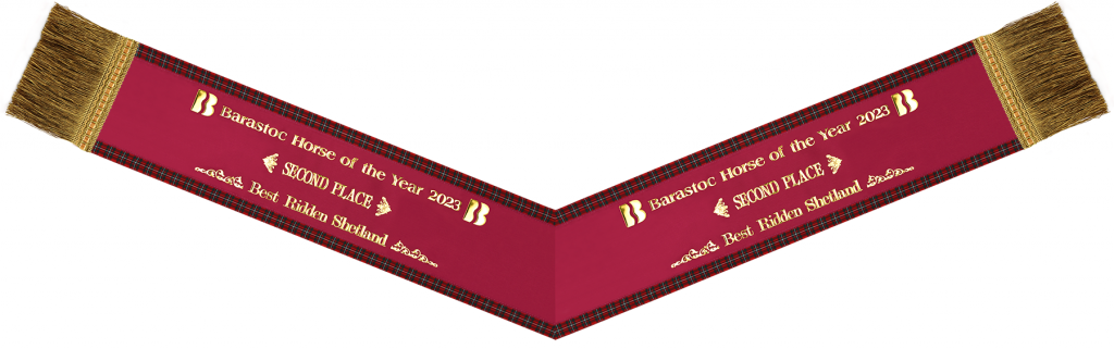 Equestrian v-neck sash with tartan edging.