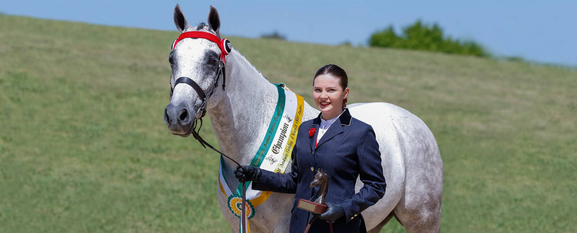 Sashes, rosettes and ribbons for equestrian shows.