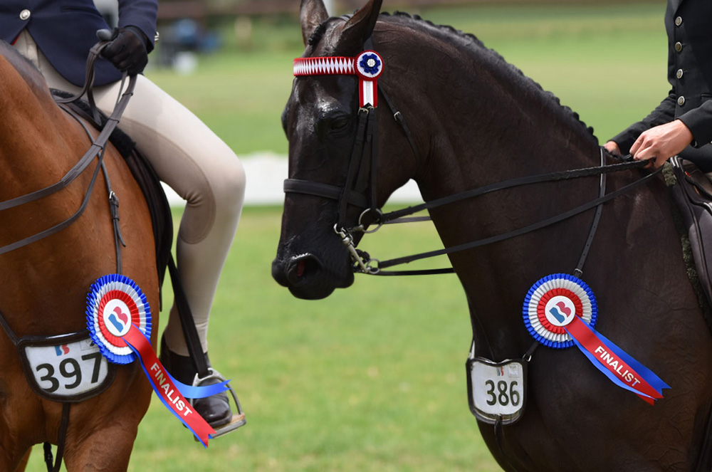 Knife pleated equestrian rosettes.