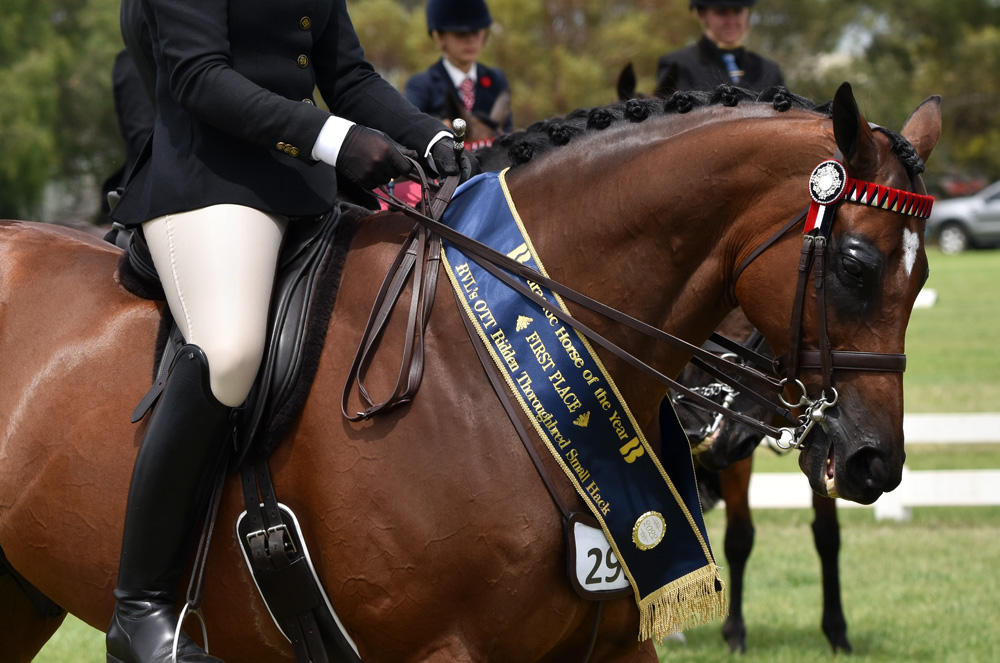 Single colour equestrian v-neck sash with braiding and badge.