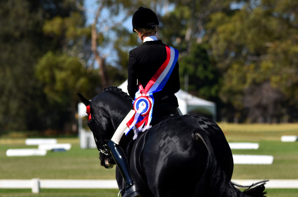 6 inch tri-colour shoulder sash with tri-colour rosette.