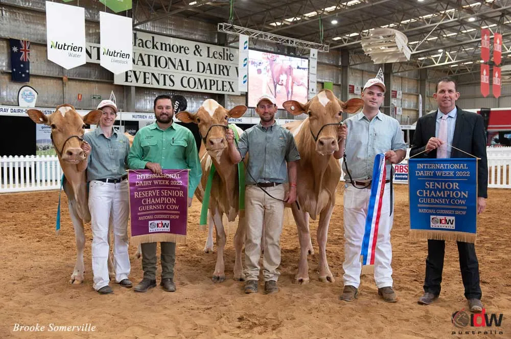 Our sashes and bannerettes at International Dairy Week. Republished with permission.