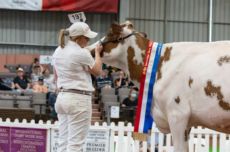 Sashes and bannerettes at International Dairy Week. Republished with permission.