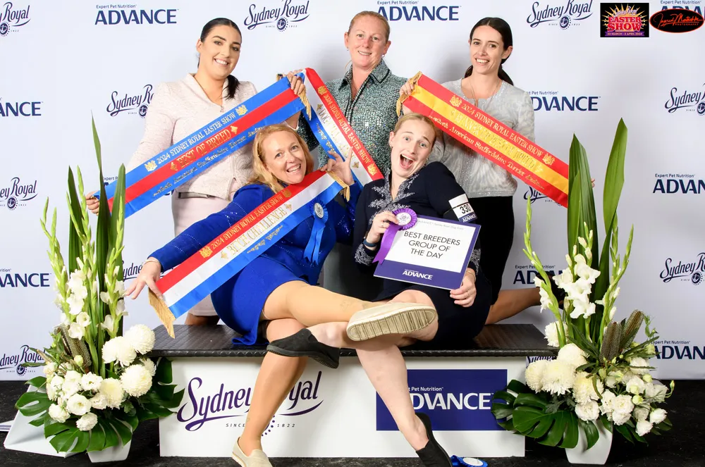 Tri-colour sashes at Sydney Royal Show. Photo by Ingrid Matschke.