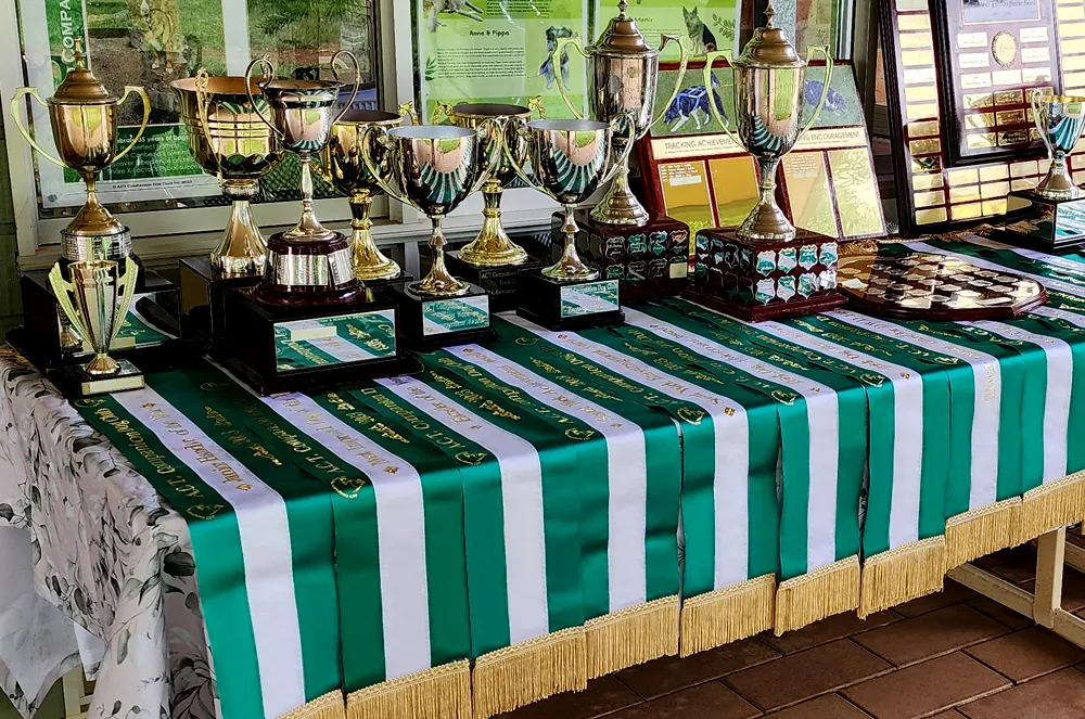 Tricolour canine sashes on a trophy table. Republished with permission.