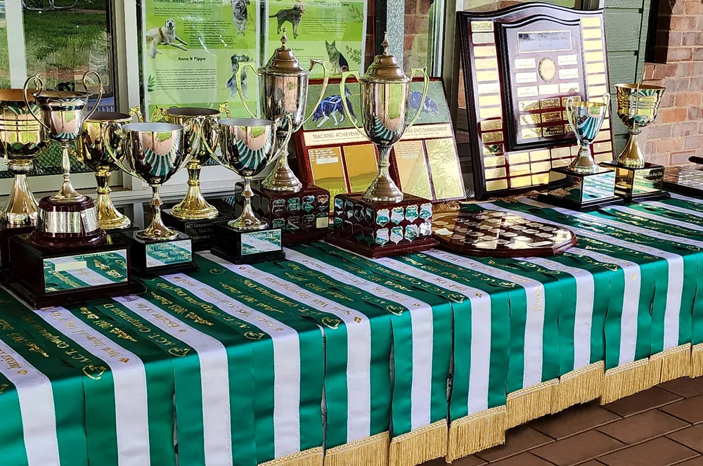 Tricolour canine sashes on a trophy table. Republished with permission.