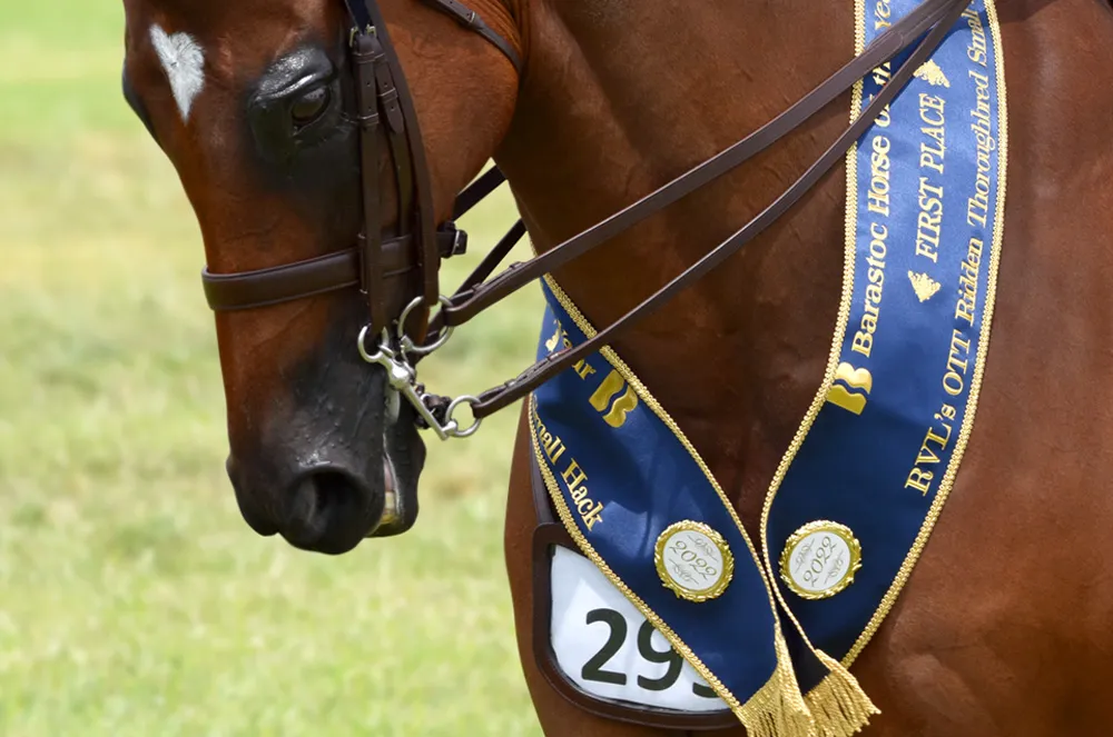 Single colour equestrian v-neck sash with outer braiding and badge.