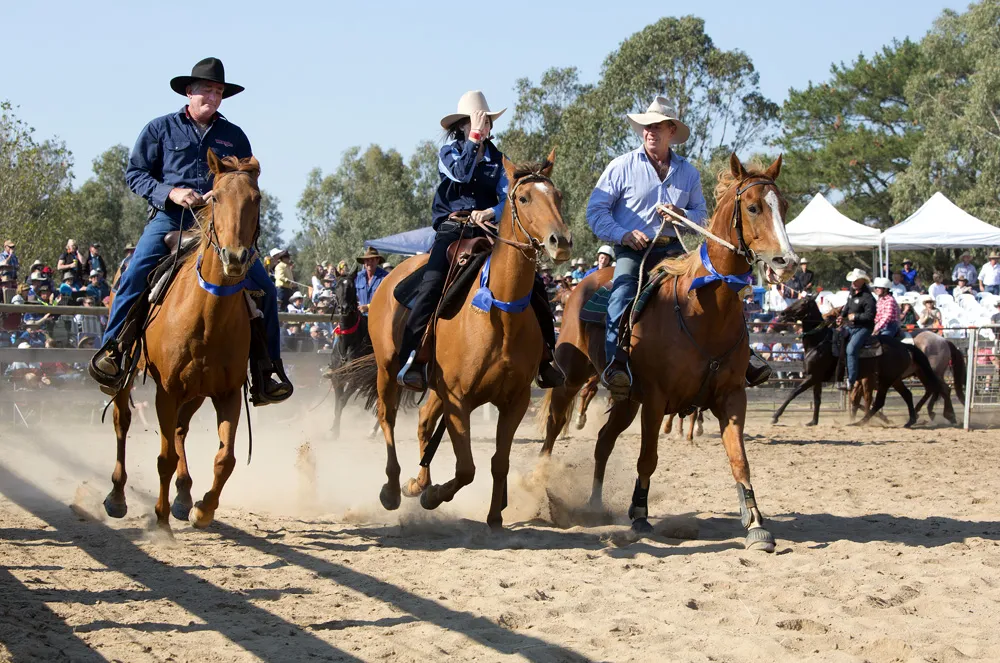 Single colour rodeo sashes.