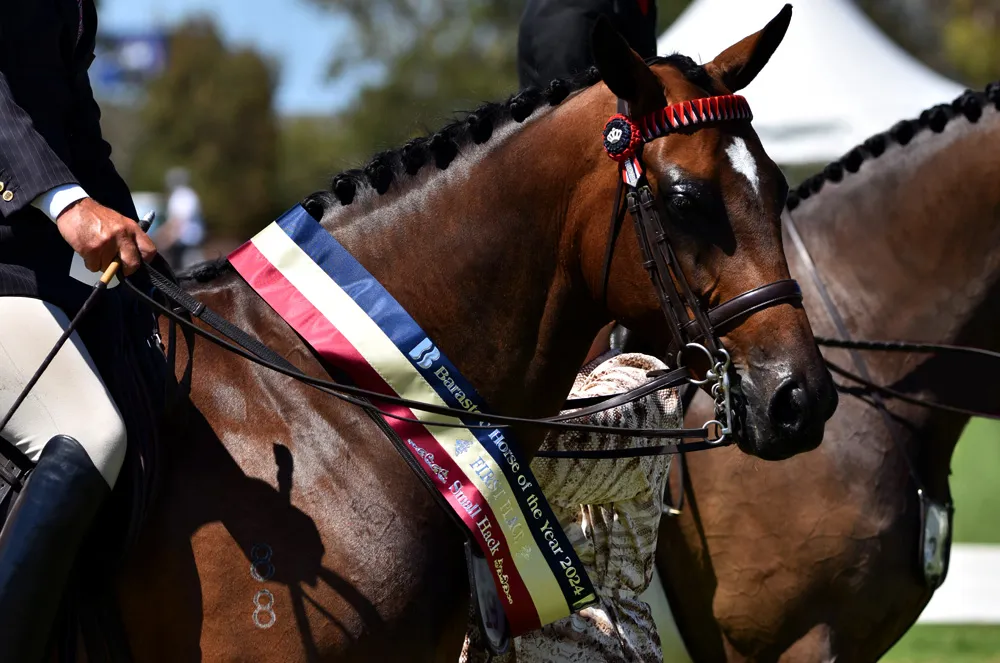 Tri-colour equestrian sash.