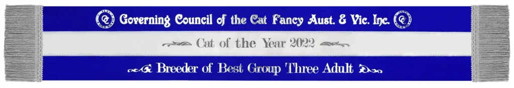 Tricolour feline sash SET636 in royal blue and white.