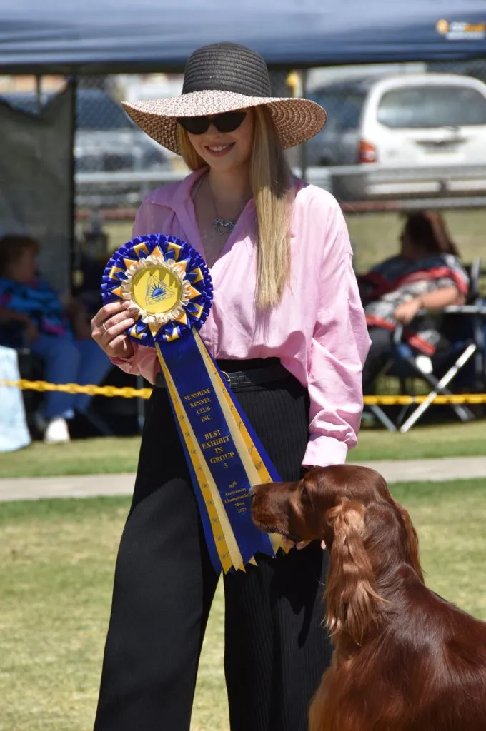 Rosettes, sashes and ribbons for dog shows.