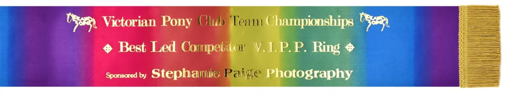 6″ x 72″ Rainbow Sash